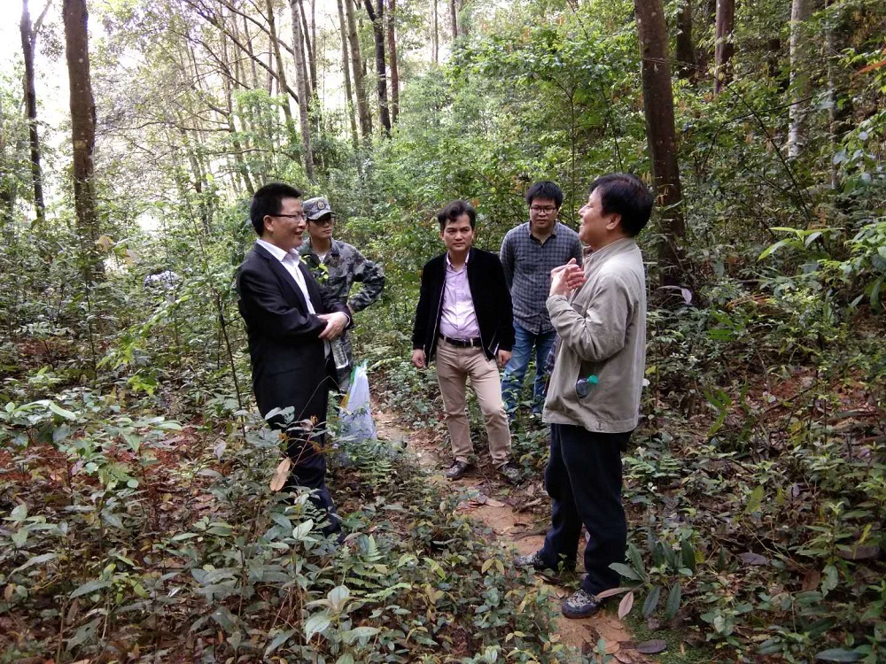 宋书记进山调研，查看工区基本植被情况、珍稀物种、食用菌分布2.jpg