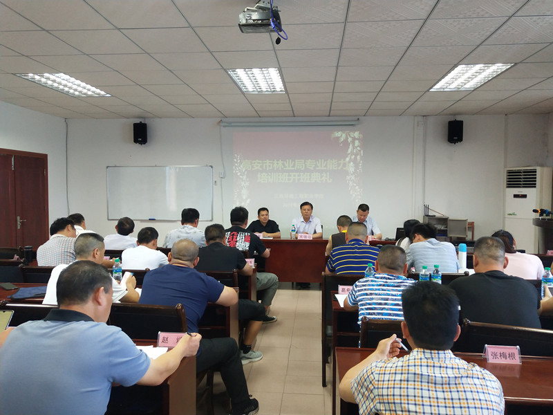 高安市林业开班1 (1152)_wps图片_副本.jpg