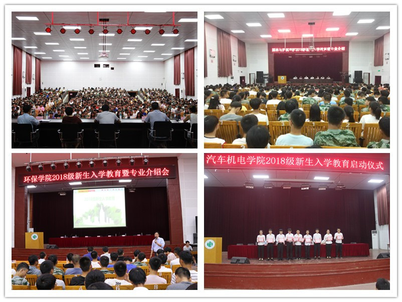 新生入学教育.jpg