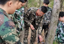 我院病虫害防治师生团队参加龙南林业松材线虫病生态防治科技服务项目