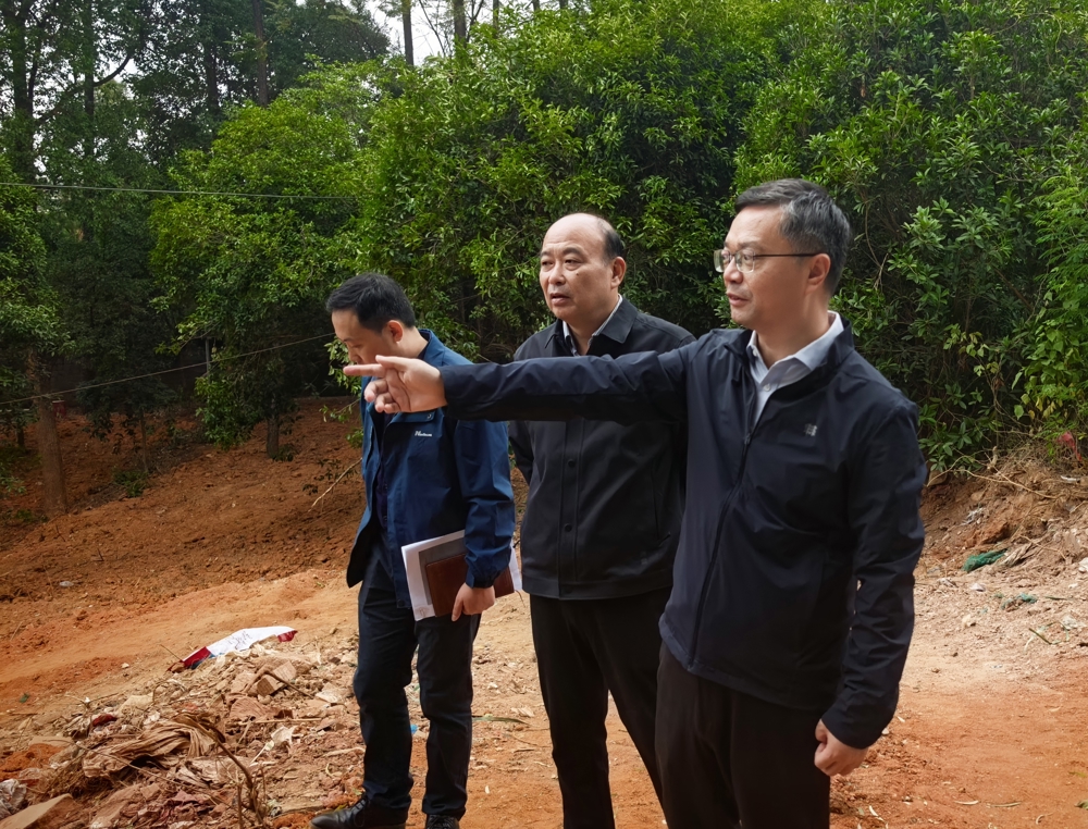 微信图片_20251023172619_79_520