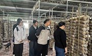林业学院开展“走进现代农业，感受产业脉动”主题实践活动