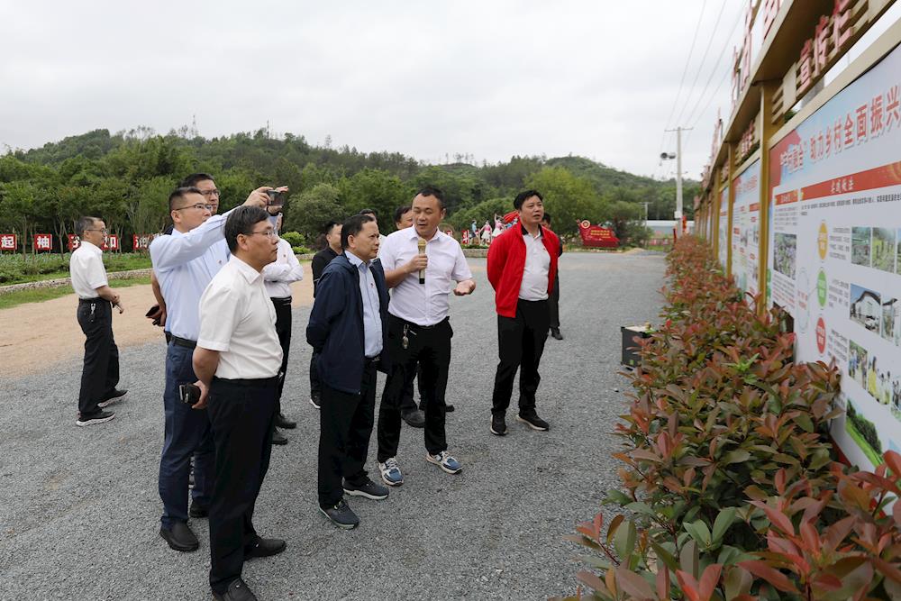 1edad3d8b9194d898572ecc7c73a03d0.JPG 1edad3d8b9194d898572ecc7c73a03d0.JPG