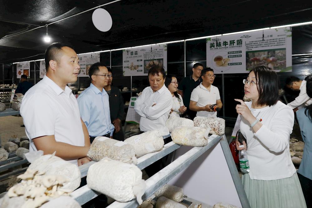 09139592810c413081012c0c52d12cb6.JPG 09139592810c413081012c0c52d12cb6.JPG