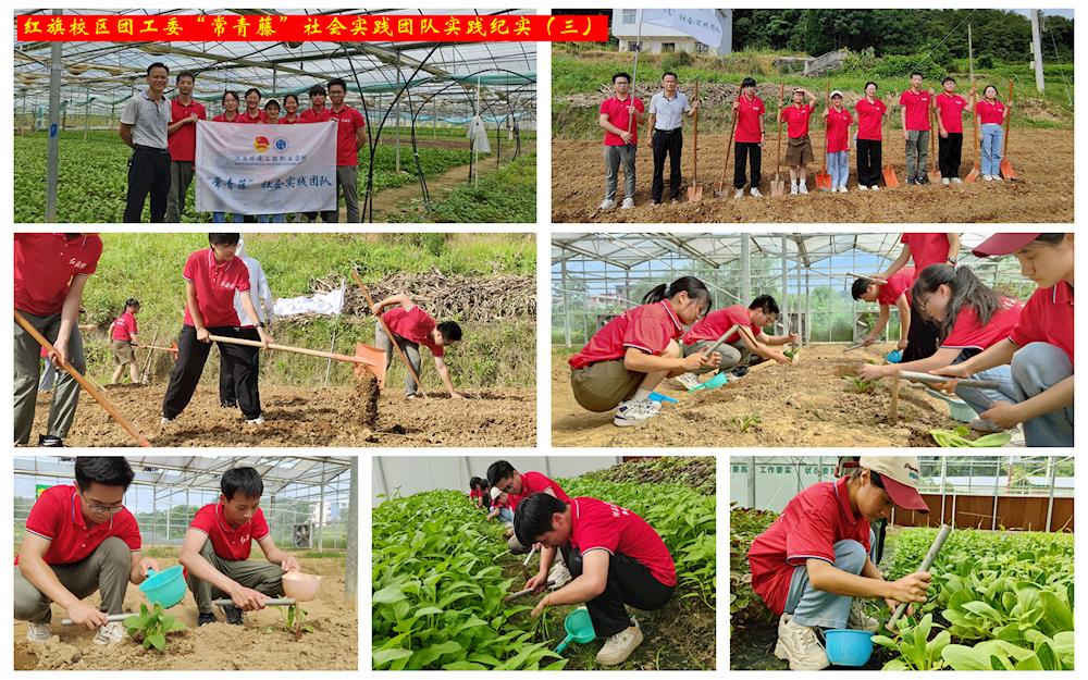 34d764b8e2e7465ea68708cdc8c2d92f.jpg 34d764b8e2e7465ea68708cdc8c2d92f.jpg