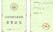 基于“项目导师制”的城镇规划专业实践教学体系改革与实践