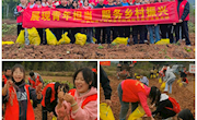 田间地头体悟乡土情结，躬身实践助力乡村振兴 ——通讯与信息学院赴赣县开展红色教育活动